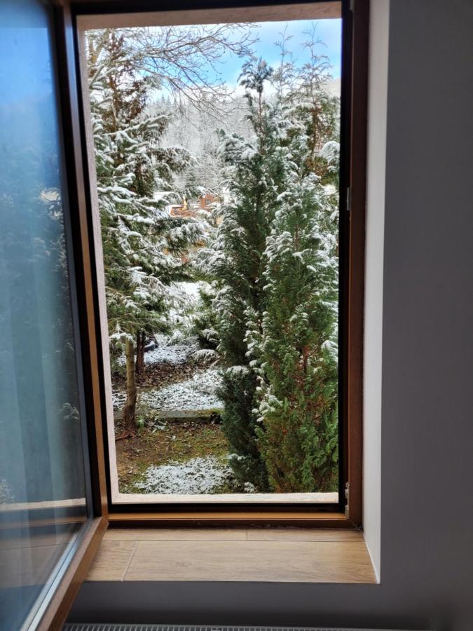 Apartamentul Florilor De Fan أَزوغا المظهر الخارجي الصورة
